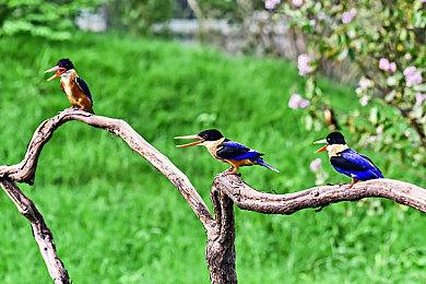 V社悄悄更新《半条命2》 优化修复为新掌机做铺垫