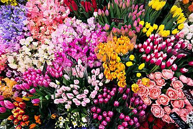 《马里奥赛车8：豪华版》赛道通行证可以与好友分享游玩