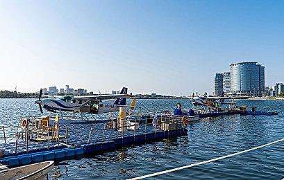 《原始袭变》新竞速排名挑战模式“野蛮试炼”现已上线