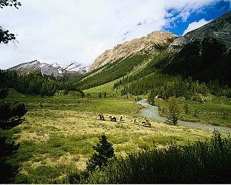 《鬼灭之刃：火神血风谭》最新宣传片 猪头哥学园装帅翻