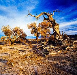 《灾厄堡垒》抢先体验阶段首个补丁新增沙盒模式